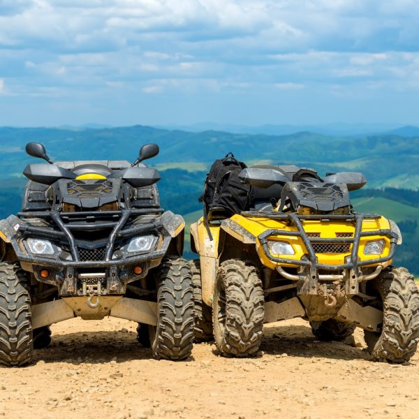 ATV Quad Bike in front of mountains landscape